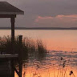 Meet your Posher, Frank